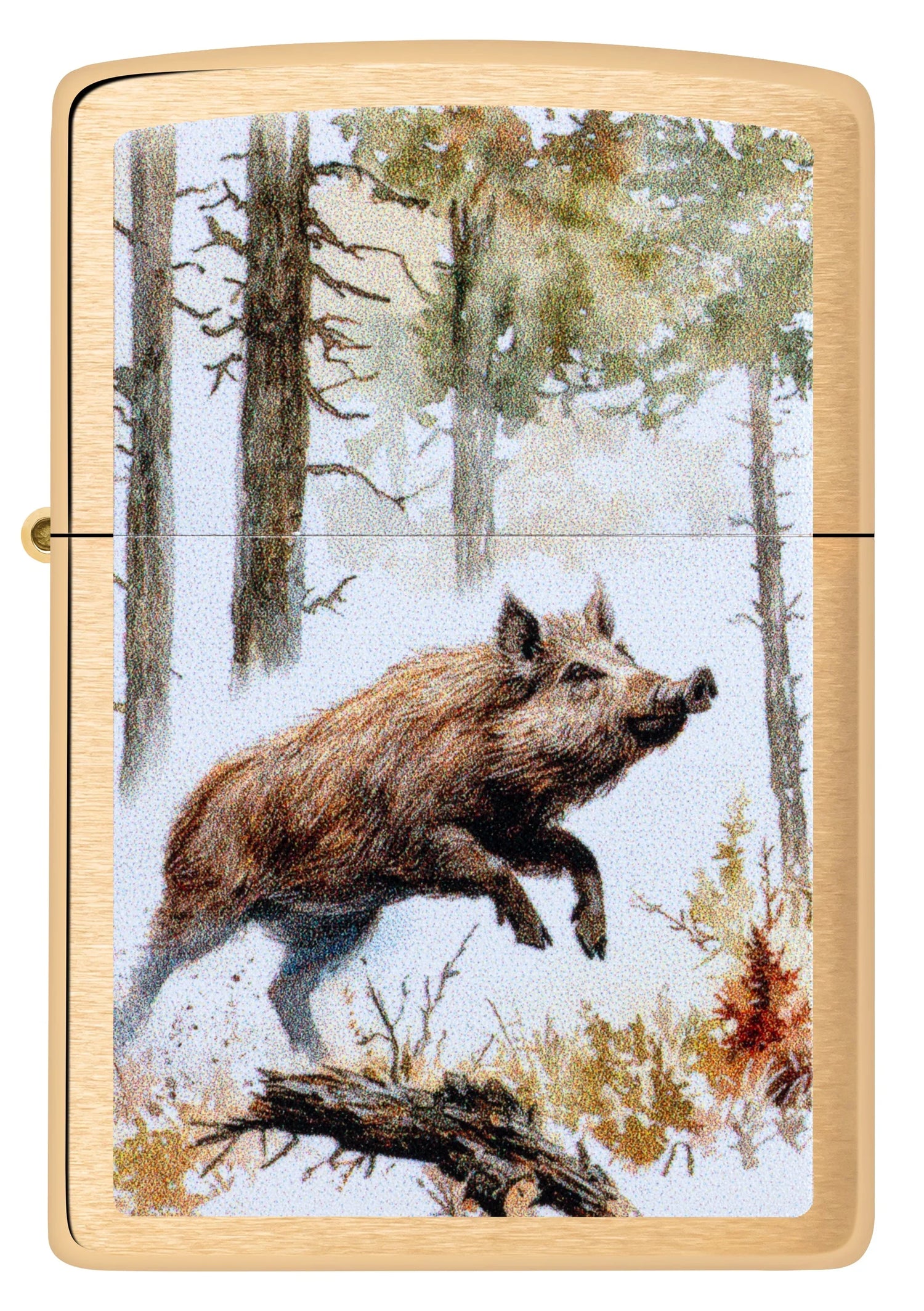 Chasse