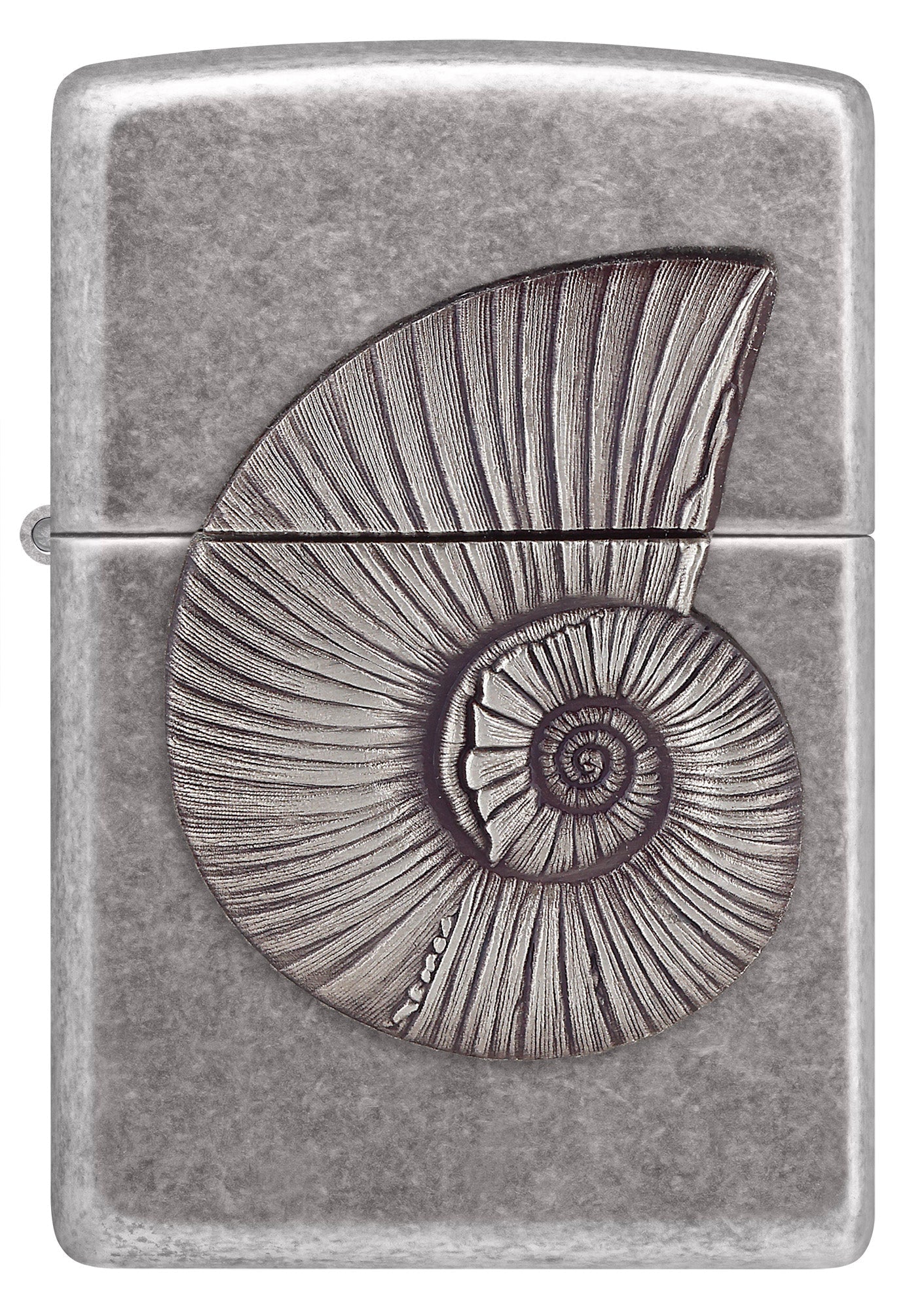 Motif coquillage fossilisé