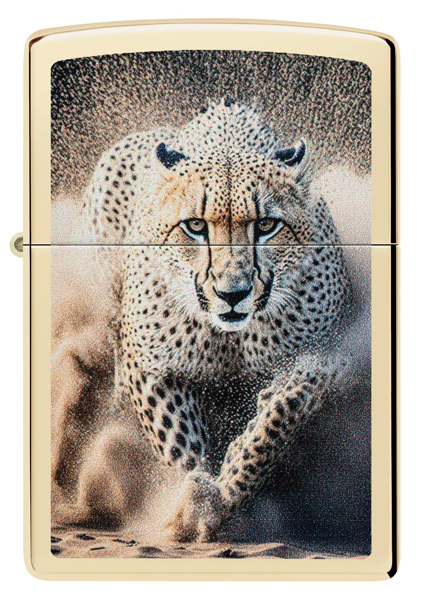 Motif guépard