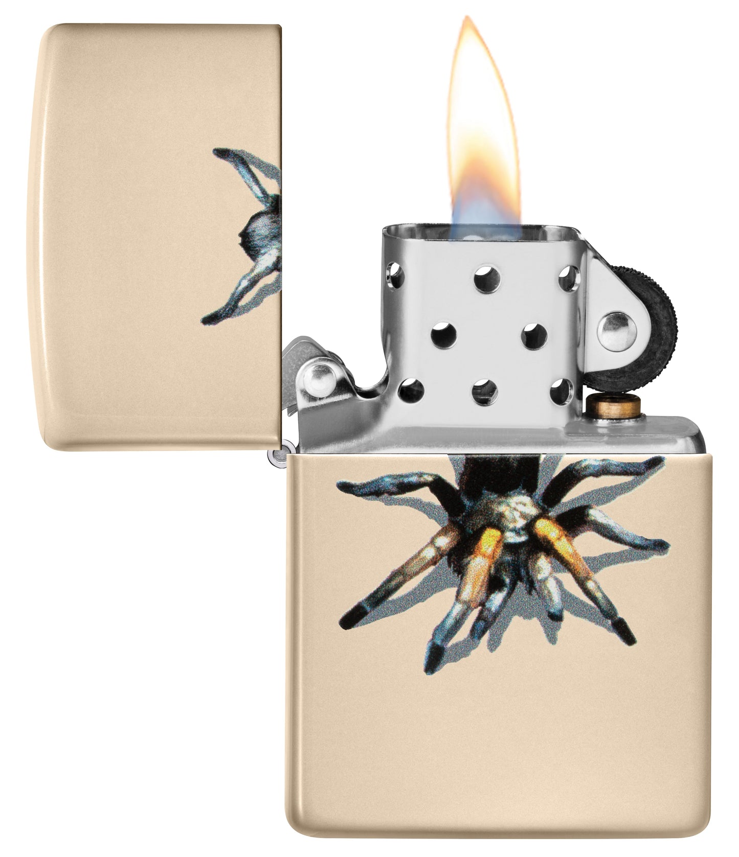 BS Tarantula