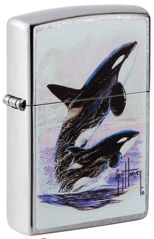 Briquet Zippo vue de face ¾ angle chromé avec illustration en couleur de deux orques dessinées par Guy Harvey