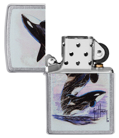 Briquet Zippo vue de face chromé ouvert avec illustration en couleur de deux orques dessinées par Guy Harvey