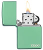 Chameleon Zippo Logo