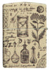 Briquet Zippo 540° vue de l'arrière avec illustration en couleur et fait de métal qui montre des motifs alchimiques qui couvrent toute la surface avec des crânes, des bougies et des écritures mystérieuses.