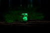Briquet Zippo Vue de face 540 degrés Design avec panneau indicateur dans le ciel nocturne coloré de la nature